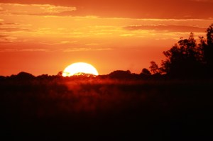 Saulriets San Juan Poriahu